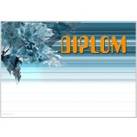DZ91n Diplom univerzální – Zboží Dáma