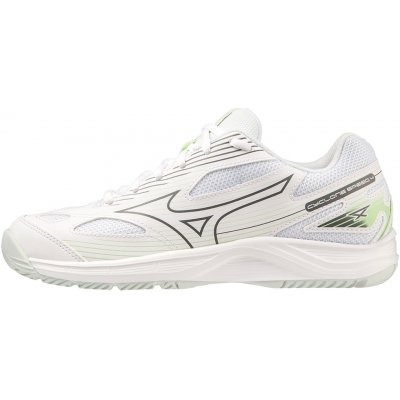 Mizuno Cyclone Speed 4 V1GC238035 – Hledejceny.cz