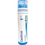 CAUSTICUM POR 9CH GRA 1X4G – Hledejceny.cz
