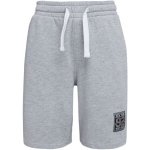 Lewro MERARI chlapecké úpletové šortky šedá – Zboží Dáma