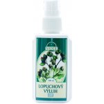 Naděje lopuchový výluh s rozprašovačem 100 ml – Sleviste.cz