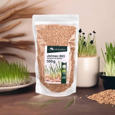 ZdravýDen Bio Ječmen semena na klíčení 0,5 kg – Zboží Dáma