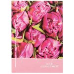 Concorde kniha záznamní lepená A4 linka 100 listů – Zboží Dáma