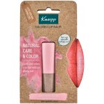 Kneipp Barevný balzám na rty Natural Rosé 3,5 g – Zboží Dáma