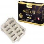 Unkuri Mumio Shilajit 20 kapslí – Hledejceny.cz
