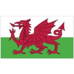 Printwear Vlajka Walesu Flagwls Wales 90 x 150 cm – Hledejceny.cz