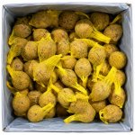 Juko Lojová koule L 6 cm 90 g bedna 100 ks – Hledejceny.cz