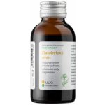 Dědek kořenář Novy ULK+ Zlatobýlová směs Meliorace 100 ml – Hledejceny.cz