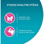 Purina One Junior s lososem a mrkví ve šťávě 4 x 85 g – Sleviste.cz