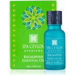 Spa Ceylon EUCALYPTUS Esenciální Olej 20 ml – Hledejceny.cz