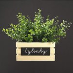 Amadea Dřevěná bedýnka na bylinky z masivního dřeva s možností popisu 24x14x11,5 cm – Hledejceny.cz