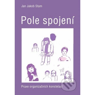 Pole spojení - Praxe organizačních konstelací