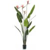 Květina Emerald Umělá Strelitzia 4 rostliny v květináči 150 cm - Default Title