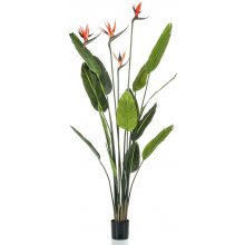 Emerald Umělá Strelitzia 4 rostliny v květináči 150 cm - Default Title