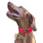 Non-Stop Dogwear obojek Active – Zboží Dáma