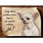 Sport hobby Cedulka Čivava VII Tady štěkám CP1285 15 x 11 cm – Hledejceny.cz