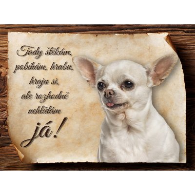 Sport hobby Cedulka Čivava VII Tady štěkám CP1285 15 x 11 cm – Hledejceny.cz