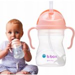 b.box hrneček s brčkem Gelato tutti frutti 240 ml – Zboží Mobilmania