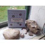 BIS Publishers pexeso Hra s čísly Numbers Game – Hledejceny.cz