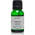 Dr. Feelgood Essential Oil Rosemary esenciální vonný olej Rosemary 15 ml – Hledejceny.cz