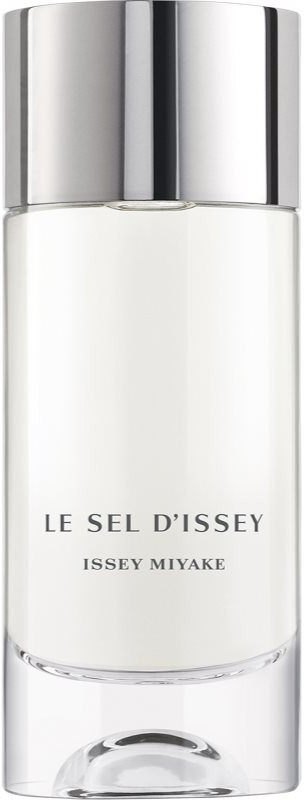 Issey Miyake Le Sel d'Issey toaletní voda pánská 100 ml