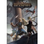 Pillars of Eternity 2: Deadfire – Sleviste.cz