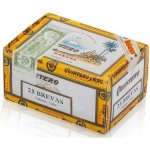 Quintero Brevas 25 ks – Sleviste.cz