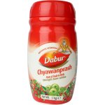 Dabur Chyawanprash Čavanpraš imunita obranyschopnost vitalita 1 kg – Zboží Mobilmania