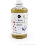 Alta Herba sirup ze 14 bylin ochrana organismu 500 ml – Hledejceny.cz