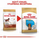 Royal Canin Dachshund Puppy 1,5 kg – Hledejceny.cz