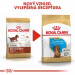 Royal Canin Dachshund Puppy 1,5 kg – Zboží Dáma