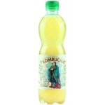 Stevikom Kombucha Meduňka 0,5 l – Zboží Dáma