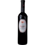 Cantine Sant'Evasio Barbera d´Asti DOCG Superiore 2022 15% 0,75 l (holá láhev) – Hledejceny.cz