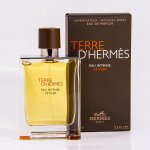 Hermès Terre D'Hermès Eau Intense Vetiver parfémovaná voda pánská 100 ml – Sleviste.cz