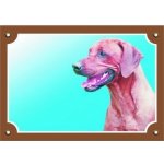 Dafiko Tabulka Rhodéský ridgeback – Sleviste.cz