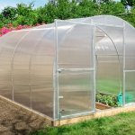 Česká Manufaktura Kaktus 8 x 3 m polykarbonát 6 mm BDX00221 – Zboží Dáma