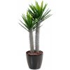 Květina Luxusní umělý sukulent PACHYPODIUM PLAST, 100cm