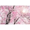 Tapety Komar Vliesová fototapeta Bloom rozměry 400 x 250 cm