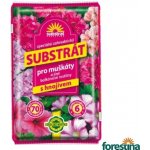 Forestina Substrát pro muškáty a balkonové rostliny 70 l – Hledejceny.cz
