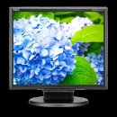 Monitor NEC E172M