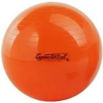 PEZZI GymBall 53 cm – Zbozi.Blesk.cz