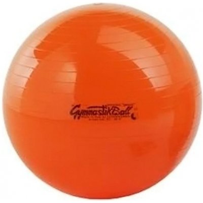 PEZZI GymBall 53 cm – Zbozi.Blesk.cz