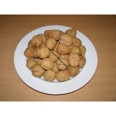 DIAMOND FOODS Vlašské ořechy JUMBO 32 mm 10000 g – Zboží Mobilmania