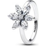 Pandora 193000C02 – Sleviste.cz