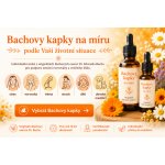 Bachovy esence kapky vyráběné na míru s konzultací 30 ml – Hledejceny.cz