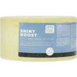 HIPPOTONIC Salt Lick Shiny Boost 3 kg – Hledejceny.cz