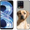 Pouzdro a kryt na mobilní telefon Realme Pouzdro mmCase Gelové Realme 8 4G - ridgeback