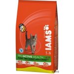 Iams ProActive Health Adult Hairball Care 3 kg – Hledejceny.cz