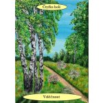 GAIA tarot 78 karet + výkladová kniha – Hledejceny.cz