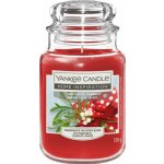Yankee Candle Mistletoe Charm 538 g – Zboží Mobilmania